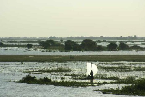 asian explorer